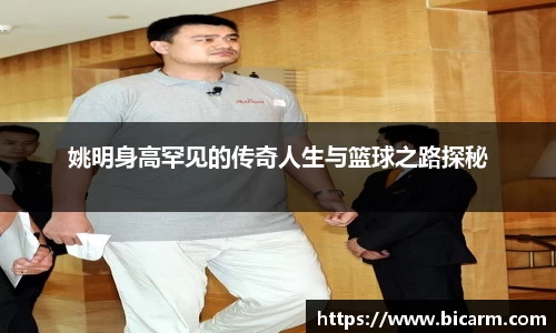 姚明身高罕见的传奇人生与篮球之路探秘